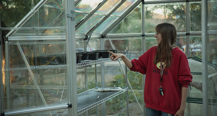 Gardener in greenhouse looking at empty plant starter pots.