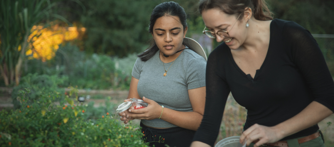 Two students tending to plants in the community garden.