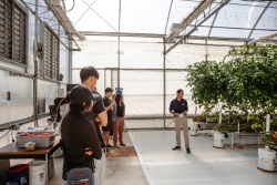 A group of people are standing together listening to another person talk in front of them; they are all inside a greenhouse.