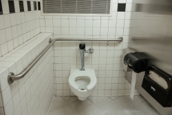 A toilet within an open stall.