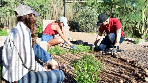 Students sit on the ground in a garden working on a compost demonstration site. 