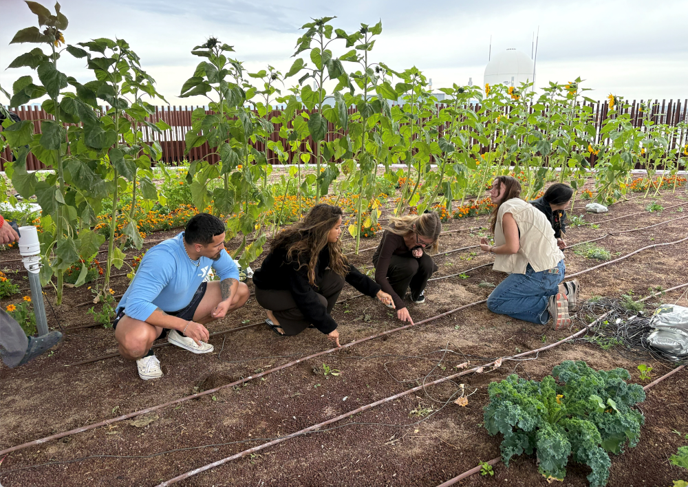 Announcing the 2026 Campus Sustainability Fund Annual Grant Recipients ...