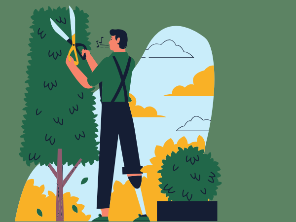 Artwork of person trimming a tree and hedges