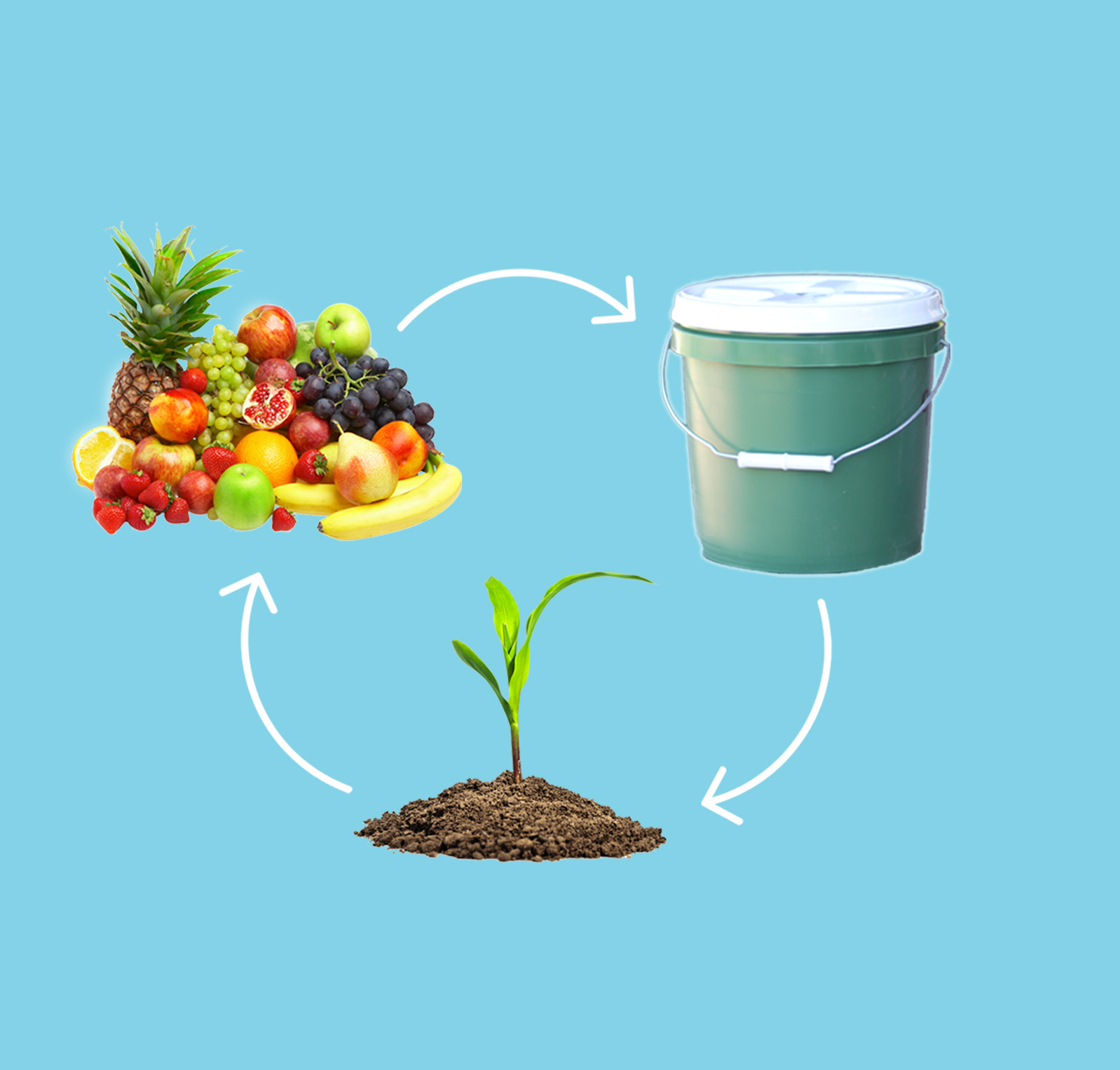 Cycling graphic with fruits and veggies pointing toward a bucket pointing toward a plant growing out of dirt and back to the fruits and veggies.