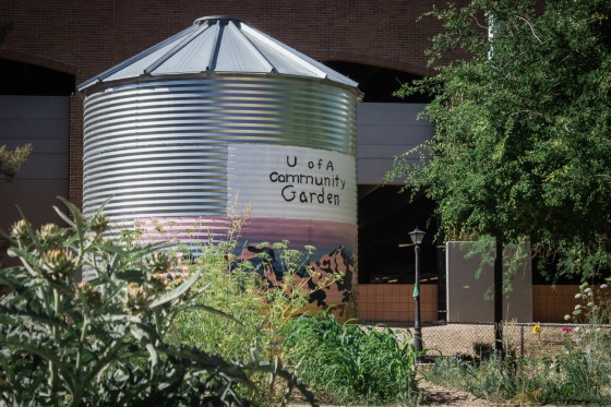 A water catching cistern located in the Community Garden with a mural painted on it.