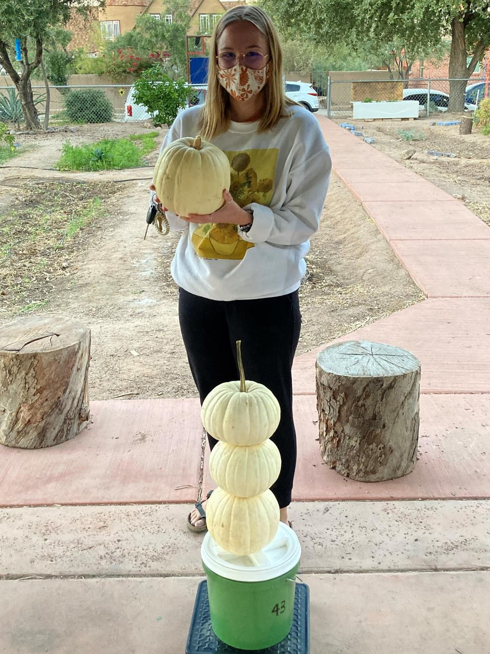 Person weighing compostable materials including three pumpkins stacked on top of a green bucket. 