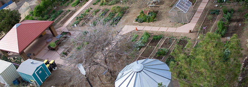 Aerial view of the Community Garden