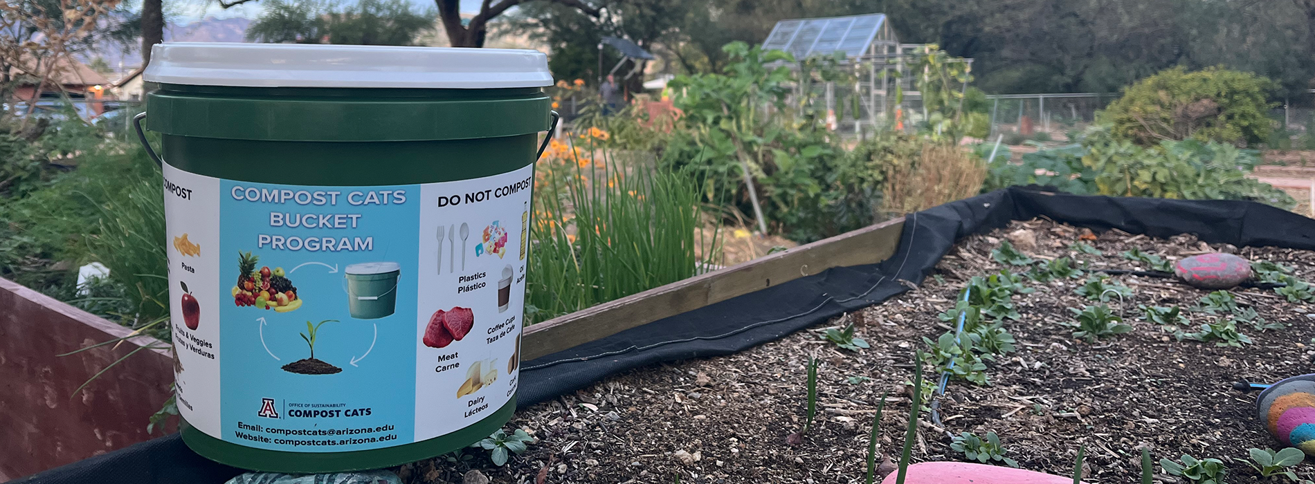 Photo of garden with Bucket Program bucket in foreground