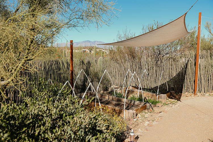 A sun shade hangs above two raised garden beds