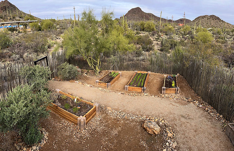 Aerial view of 4 raised garden beds at Cooper Center