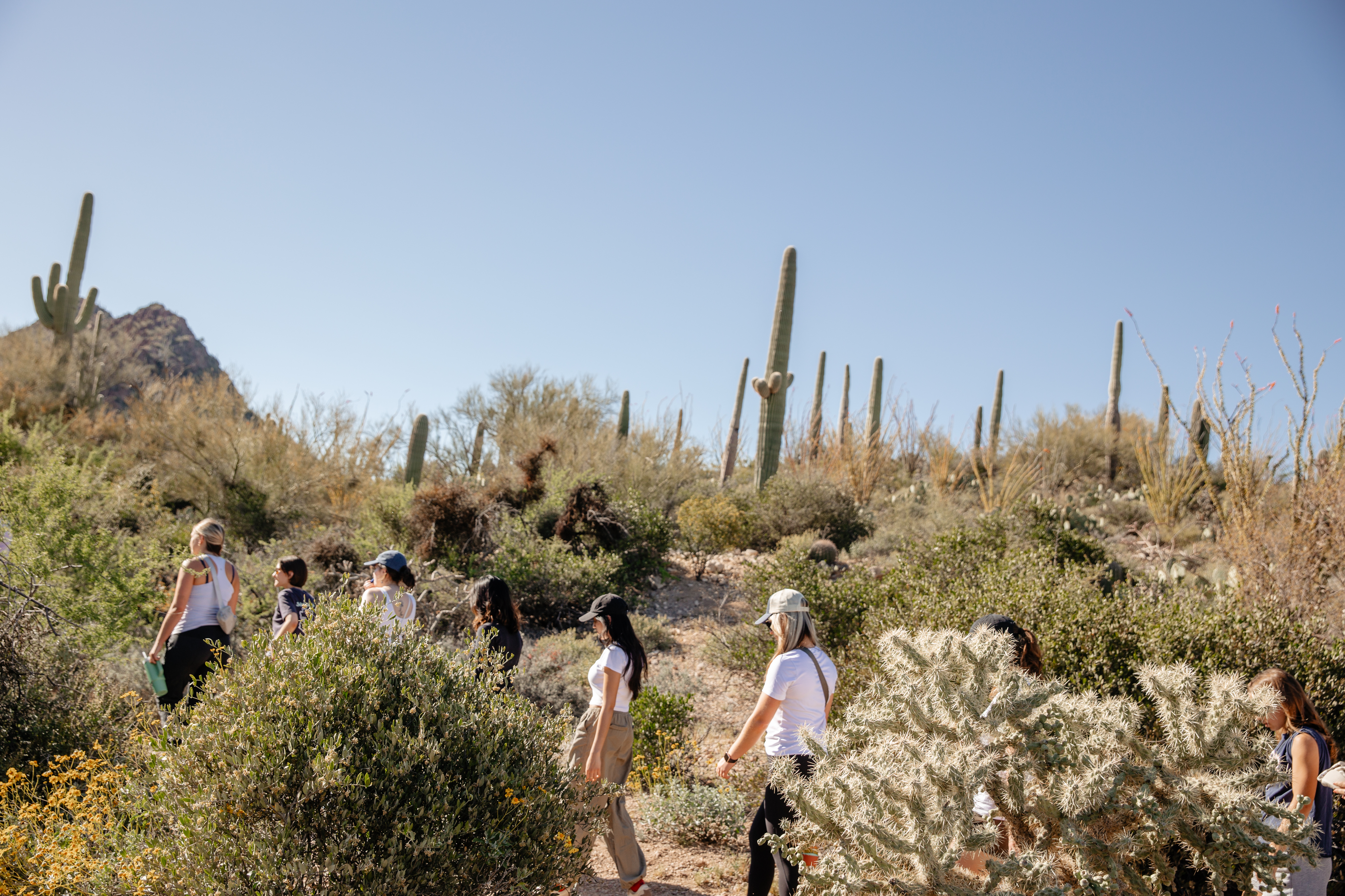 A line of people hiking through a desert mountain.