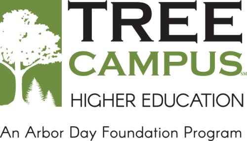 Campus Higher Education logo featuring a tree silhouette and the tagline “An Arbor Day Foundation Program.”