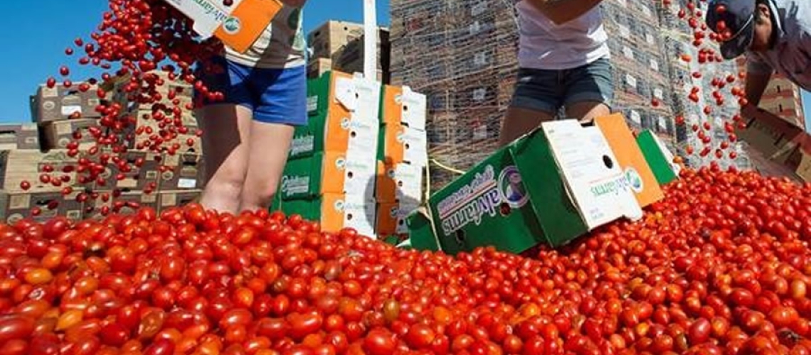 Students dump produce from boxes into a large pile of cherry tomatoes