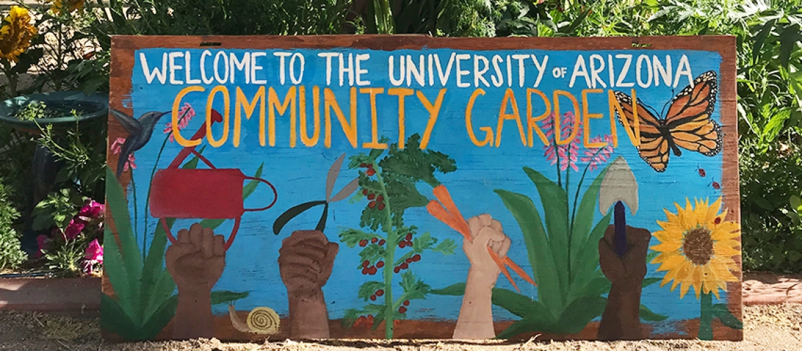 Sign with text stating "Welcome to the University of Arizona Community Garden." 