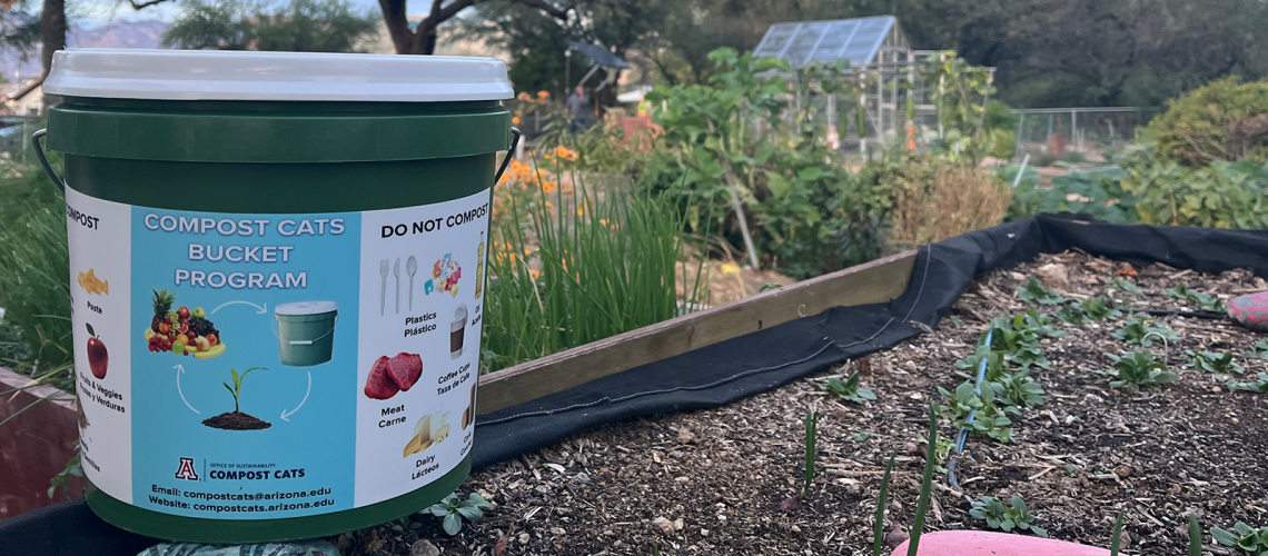 Green bucket on raised garden bed used for the Compost Cats Bucket Program. 