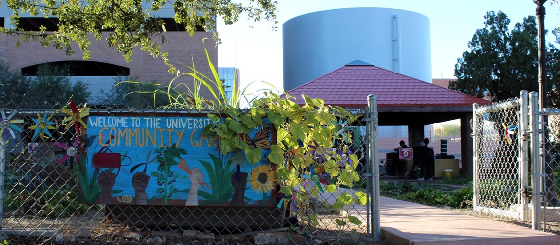 At the entrance to the UArizona Community plants grow up a chain-link fence and surround a hand painted sign welcoming visitors to the garden.