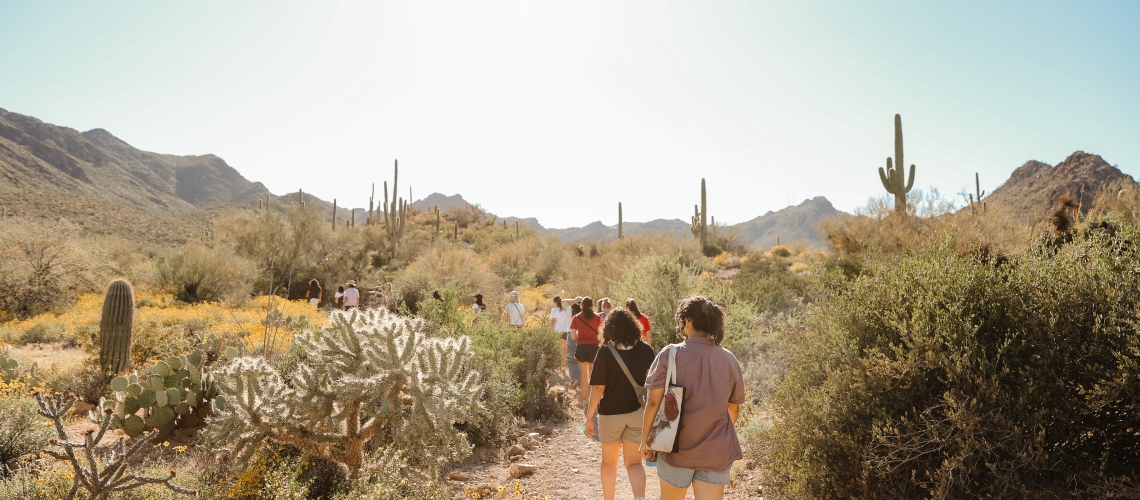 A group of people hiking on a desert mountain.