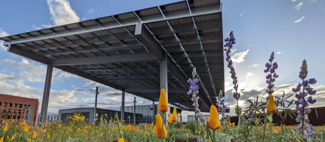 The Green Roof Project atop the Environment and Natural Resources 2 building pairs solar panels with garden plots, a system called agrivoltaics.