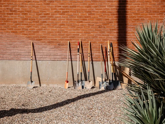 Ten shovels all lined up next to each other, resting on a wall.