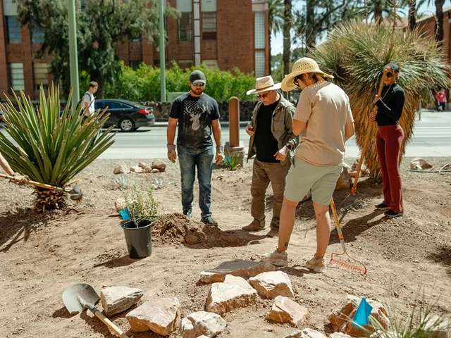 A group of people standing in a dirt area planting a tree in the ground.