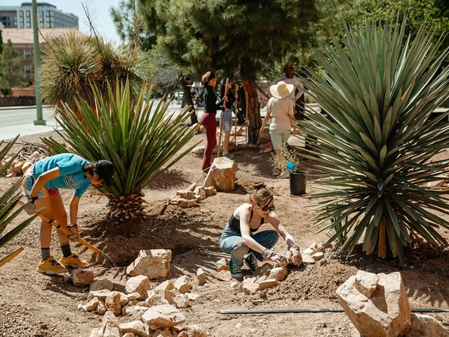 A group of people in a dirt area digging and planting plants in the ground.