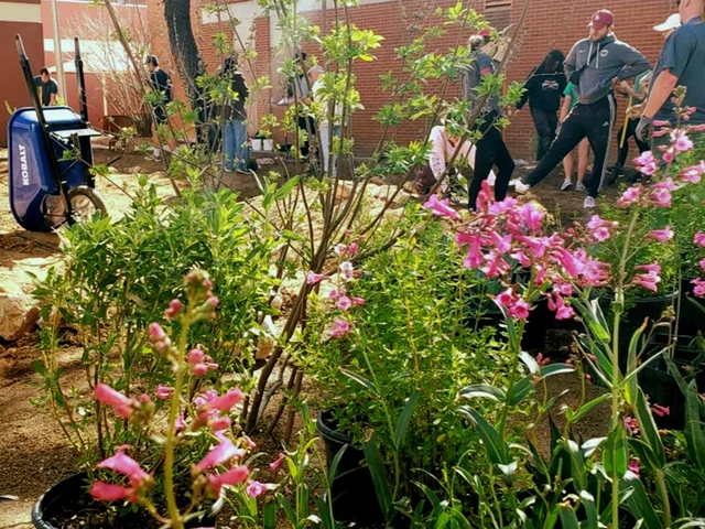 Multiple pots with plants and flowers next to each other. 