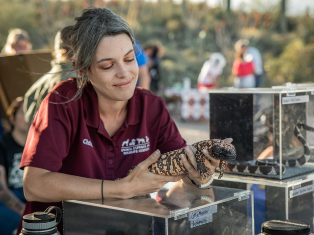 a girl holding an animal