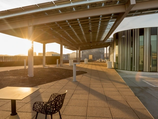 Solar panels at sunset with sun in the background