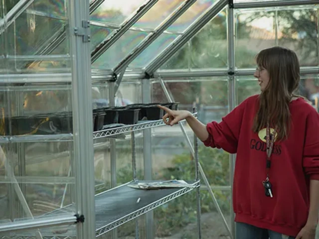 Gardener in greenhouse looking at empty plant starter pots.