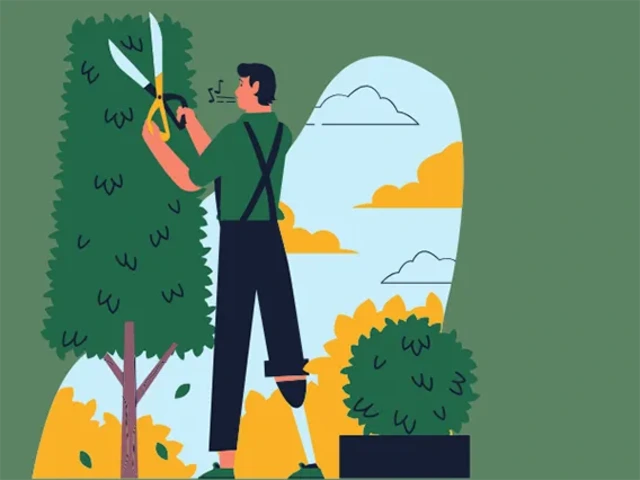 Artwork of person trimming a tree and hedges.