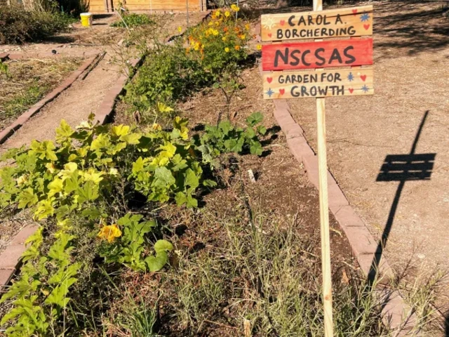 A garden plot with various plants growing in it and a sign in front of the plot.