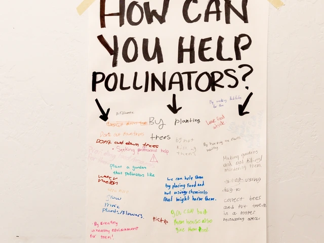 A piece of paper that is taped on a whiteboard with different writings on it.