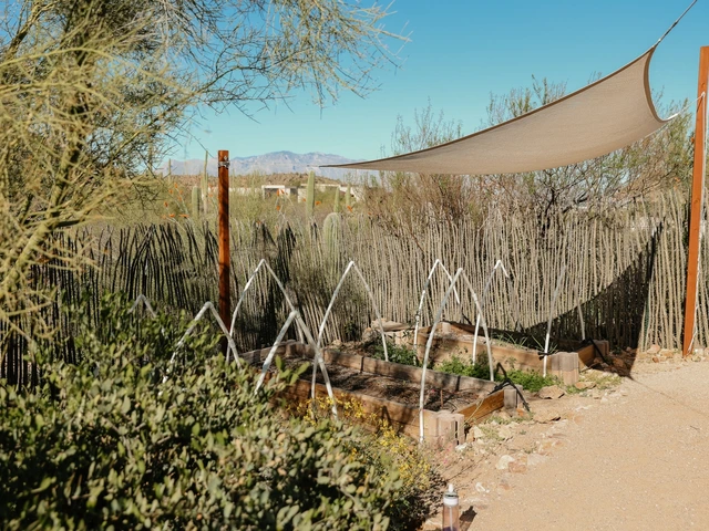 A garden plot area that is underneath a shade sail. 