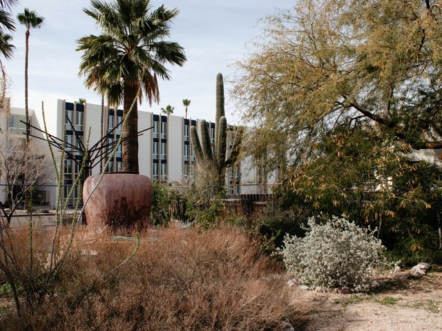 An outside view of bushes of plants growing in front of a building.