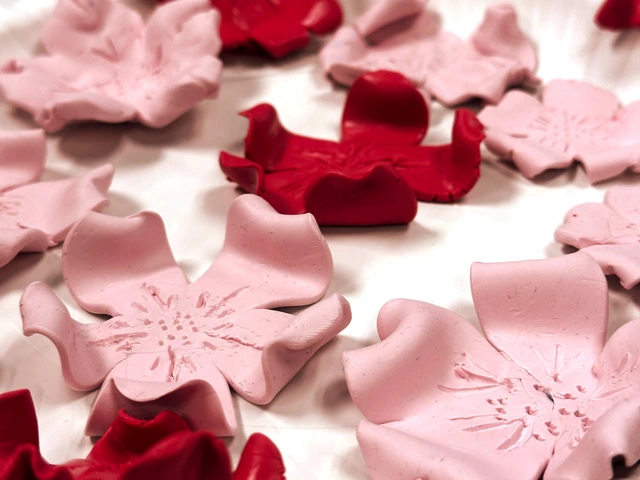 The Sakura Project | Office of Sustainability