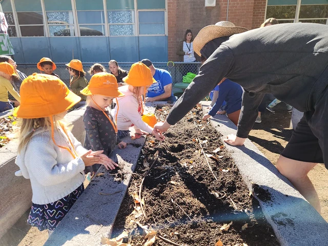 A group of children are gathered around a gardening bed and are learning from an educator.