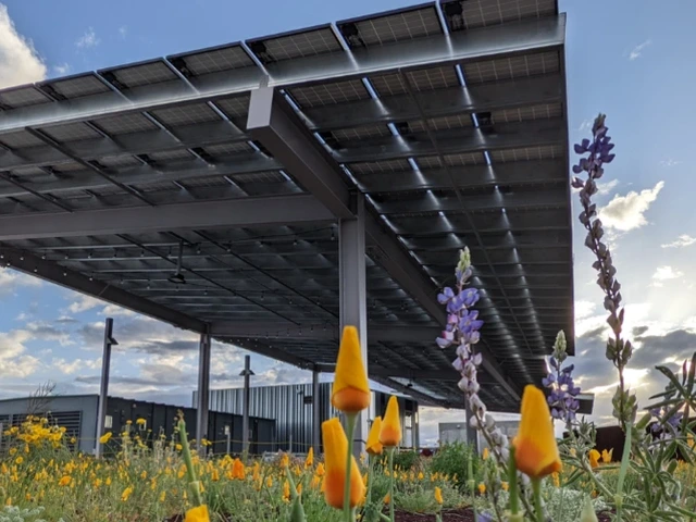 The Green Roof Project atop the Environment and Natural Resources 2 building pairs solar panels with garden plots, a system called agrivoltaics.