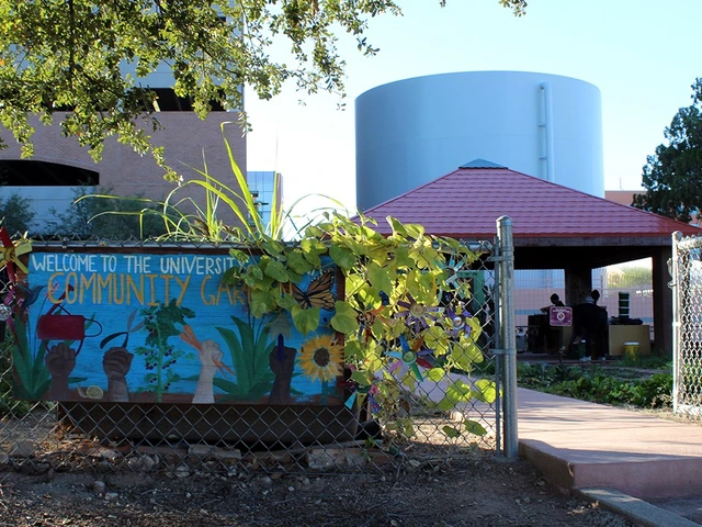 At the entrance to the UArizona Community plants grow up a chain-link fence and surround a hand painted sign welcoming visitors to the garden.
