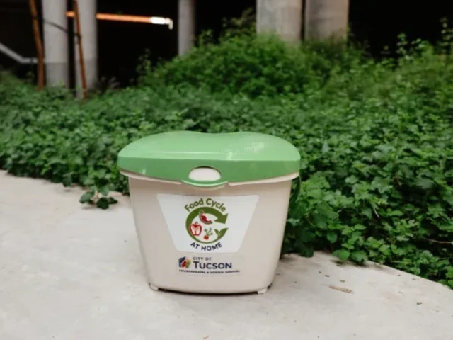 Pail sitting on a cement bench in front of greenery