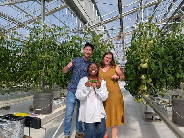 Group of three people standing in a greenhouse smiling with the person in the center holding a cucumber. 