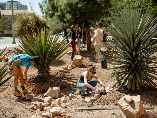 Two people plant native desert plants in a desert garden.
