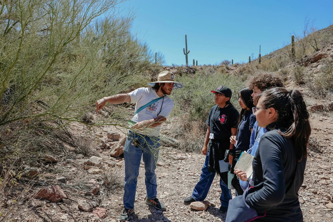 A group of people listen as a person points out a branch of a tree in a desert.