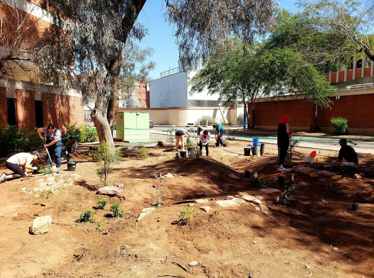 Students installing native plant gardens near the math building.