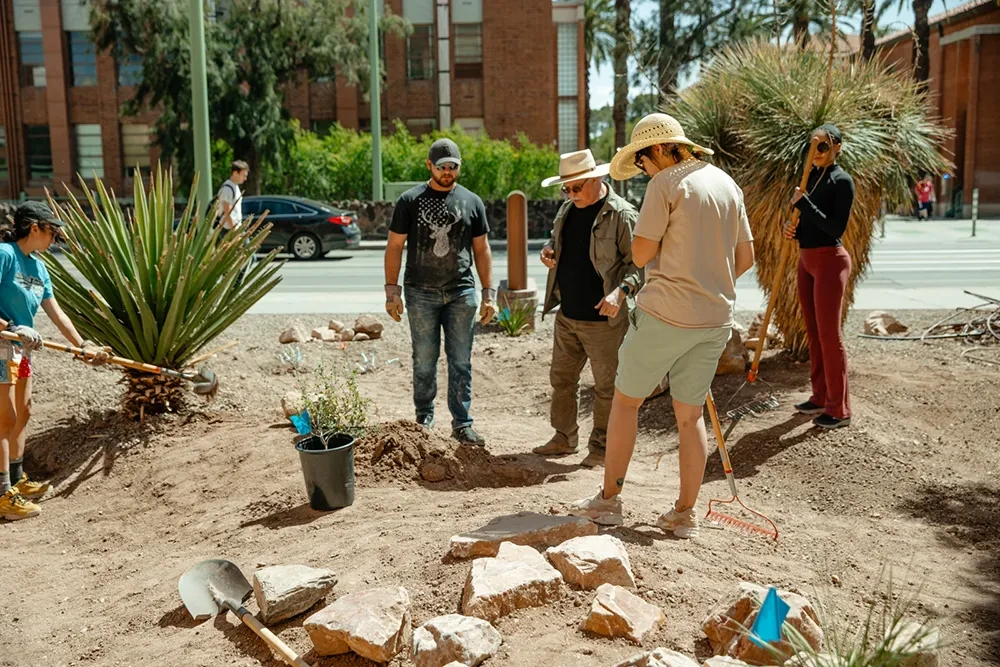 A group of people standing in a dirt area planting a tree in the ground.