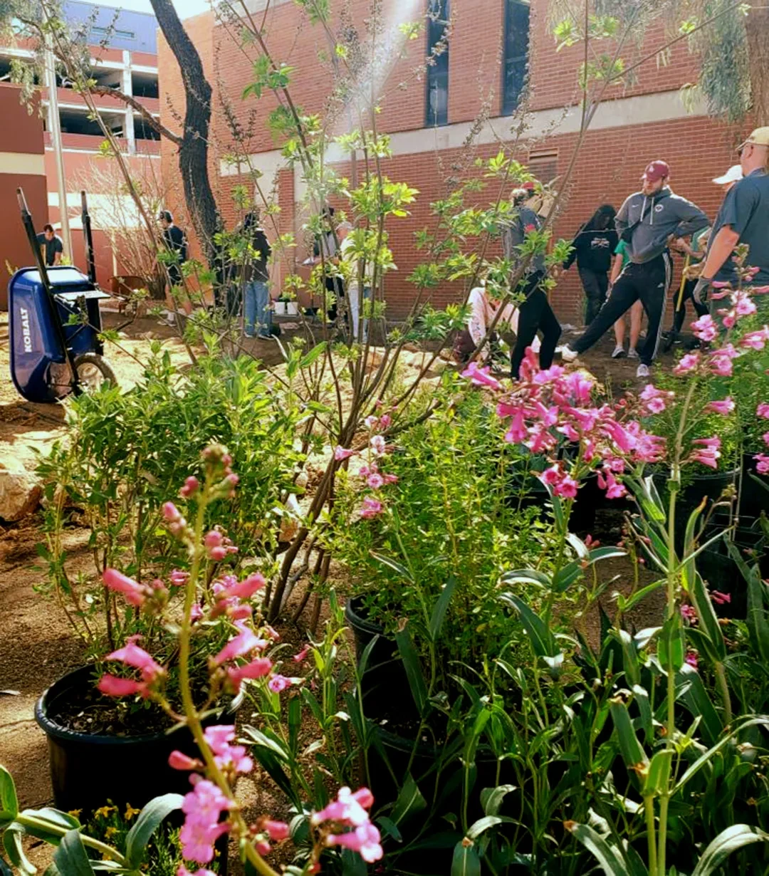 Multiple pots with plants and flowers next to each other. 