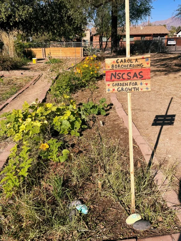 A garden plot with various plants growing in it and a sign in front of the plot.