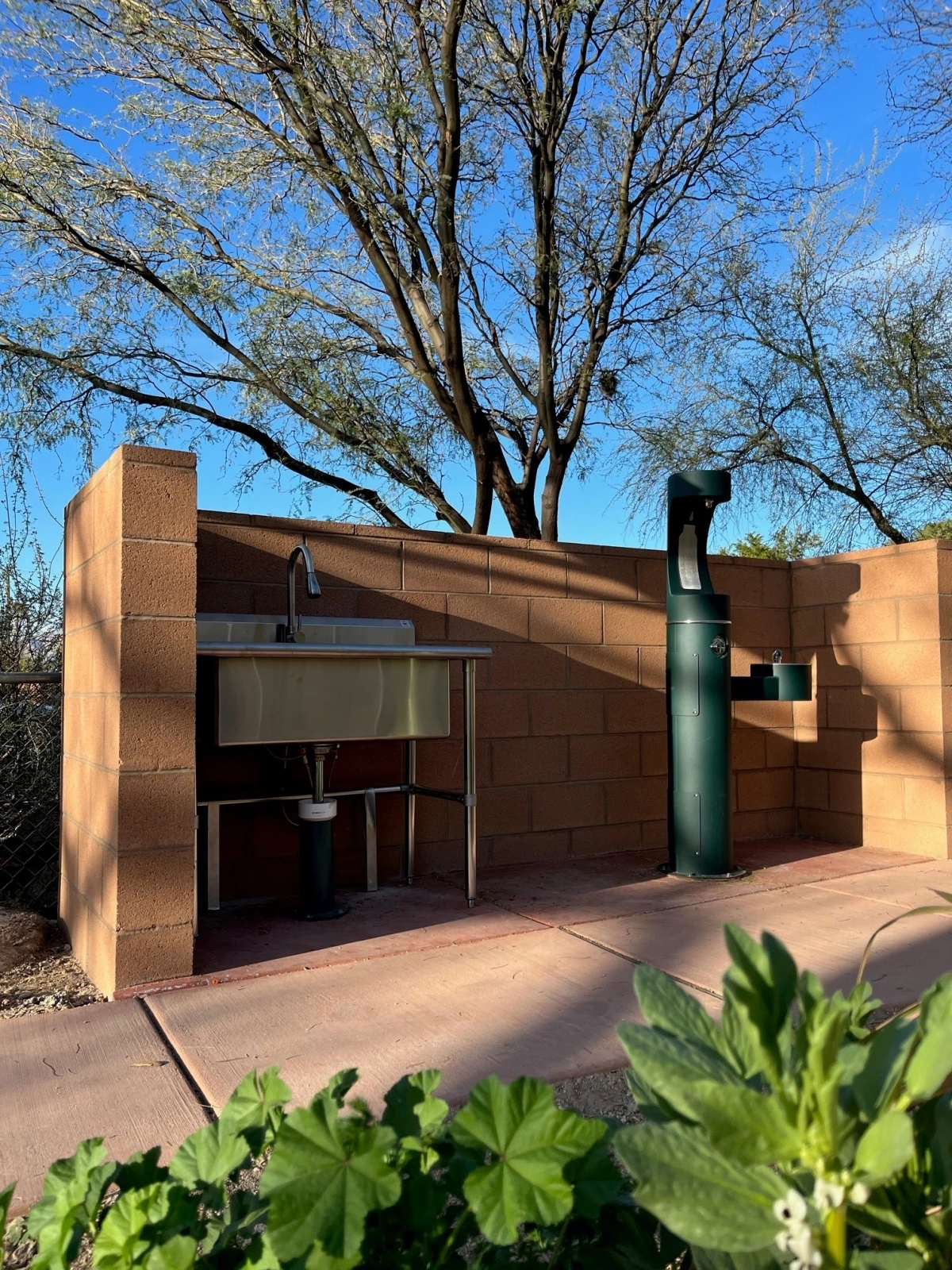 photo of the sink and bottle refill station