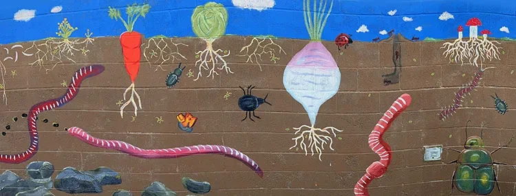 A mural showing a cross section of a garden bed with plants and their roots growing at the surface and worms and other insects living in the soil below.
