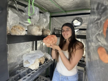a person holding up an orange mushroom, surrounded by other mushrooms growing on substrate
