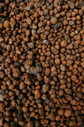 many brown colored expanded clay pebbles. 